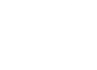 Logo SEA Telecom